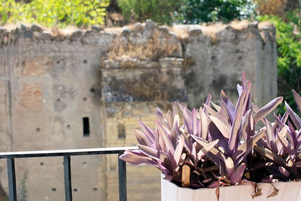 Alhambra Enamora 1 -Paseo De Los Tristes View 1 -C Γρανάδα Εξωτερικό φωτογραφία